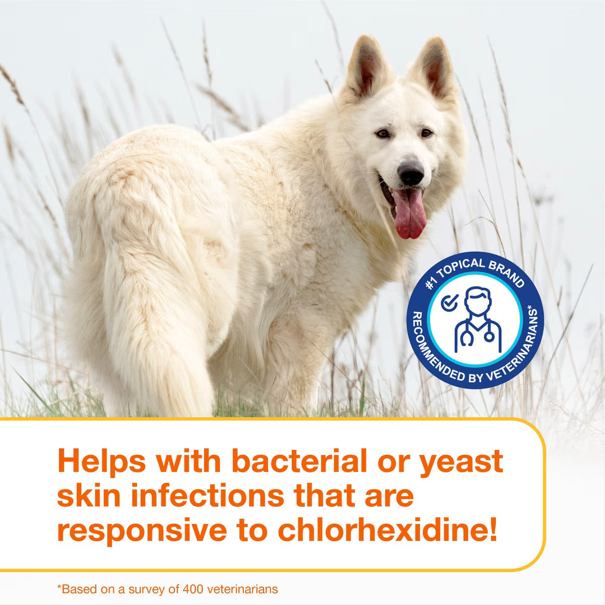 Douxo S3 PYO Antiseptic Antifungal Chlorhexidine Dog Mousse (5.1 oz)