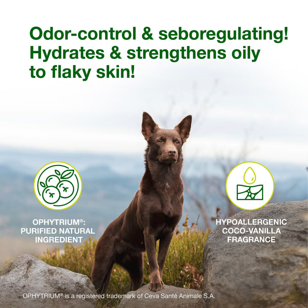 Douxo S3 SEB Odor-Control Seboregulating Dog & Cat Mousse (5.1 oz)