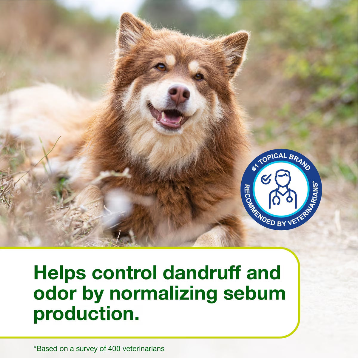 Douxo S3 SEB Odor-Control Seboregulating Dog & Cat Shampoo