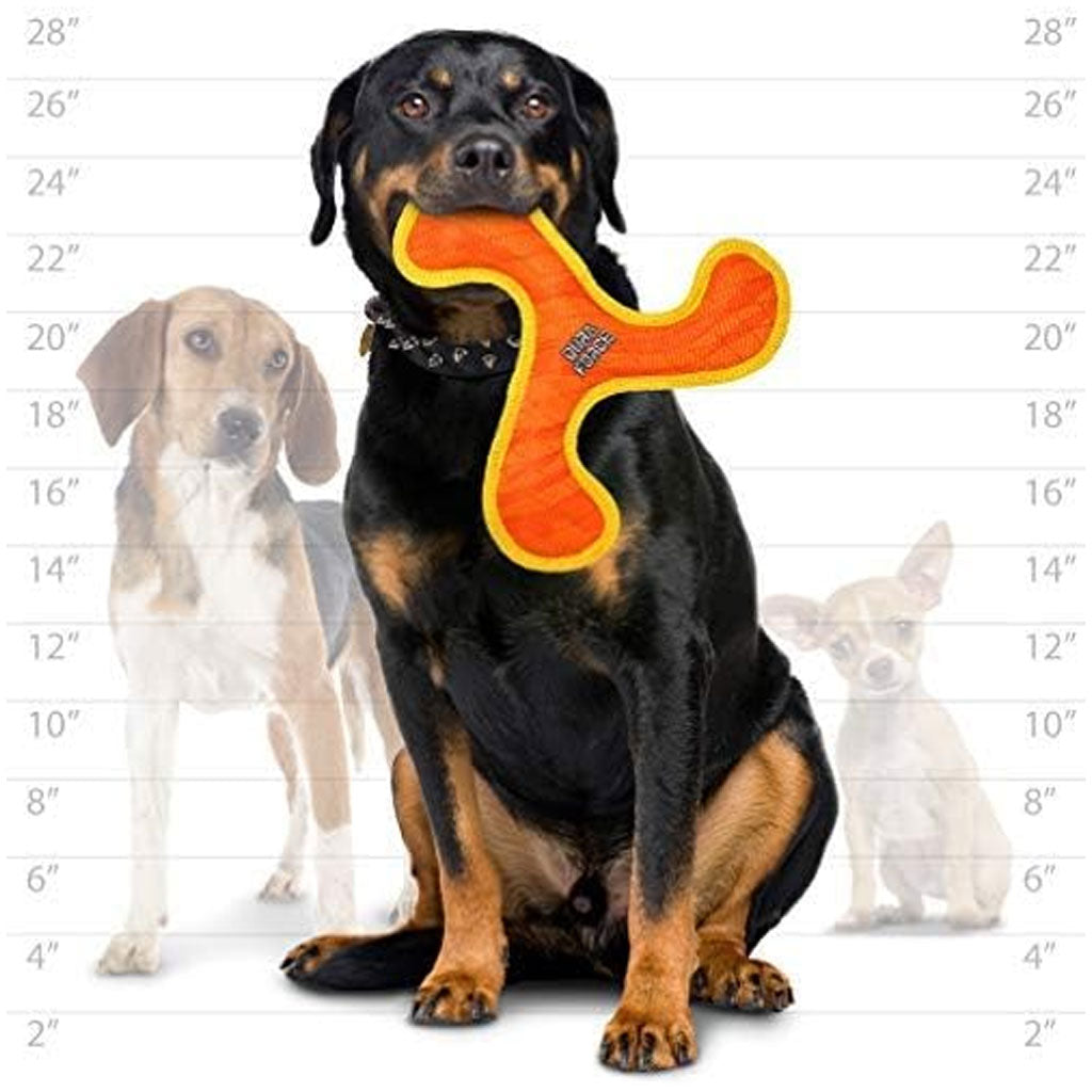 Duraforce Jr Boomerang Dog Toy Orange & Yellow