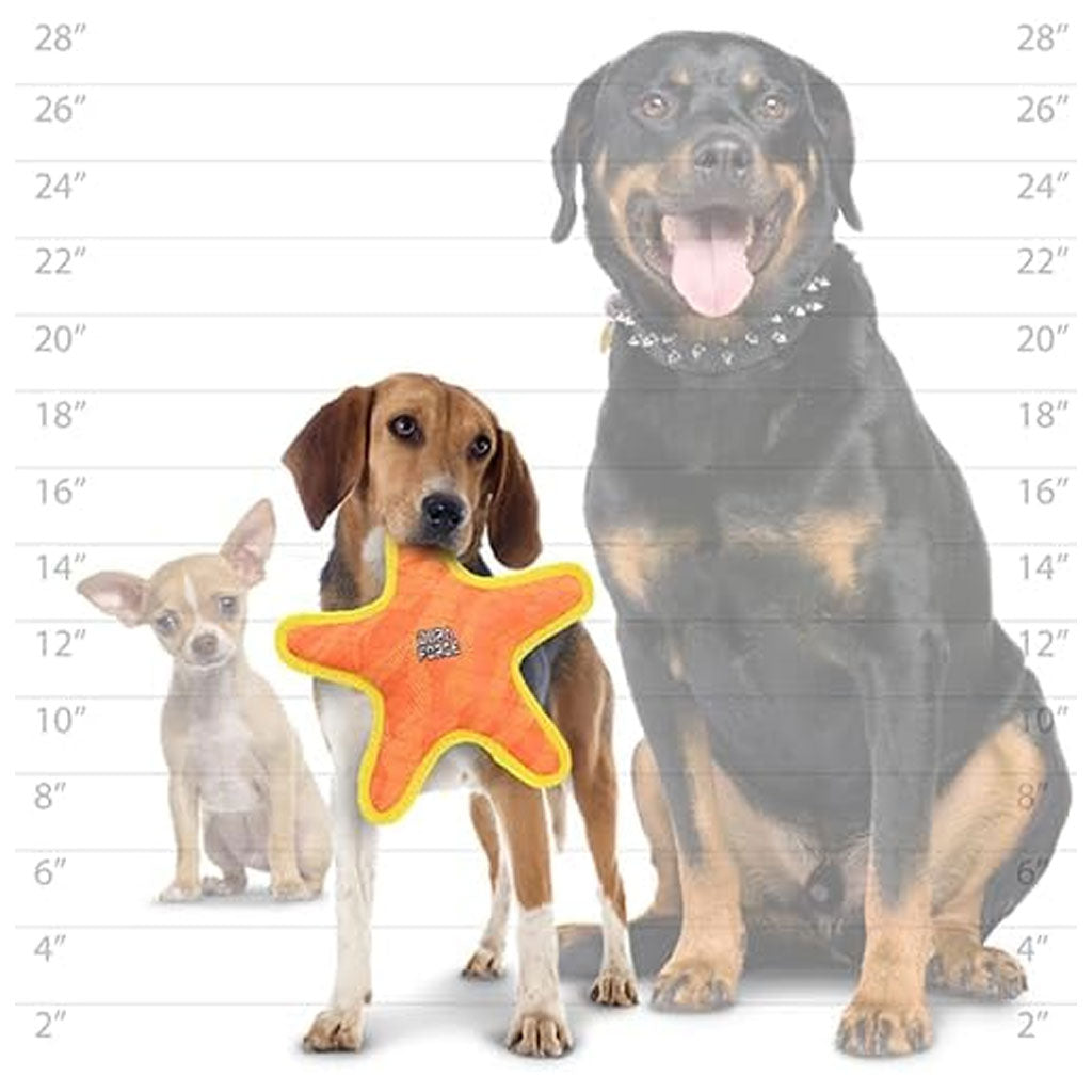 Duraforce Star Tiger Orange & Yellow Dog Toy