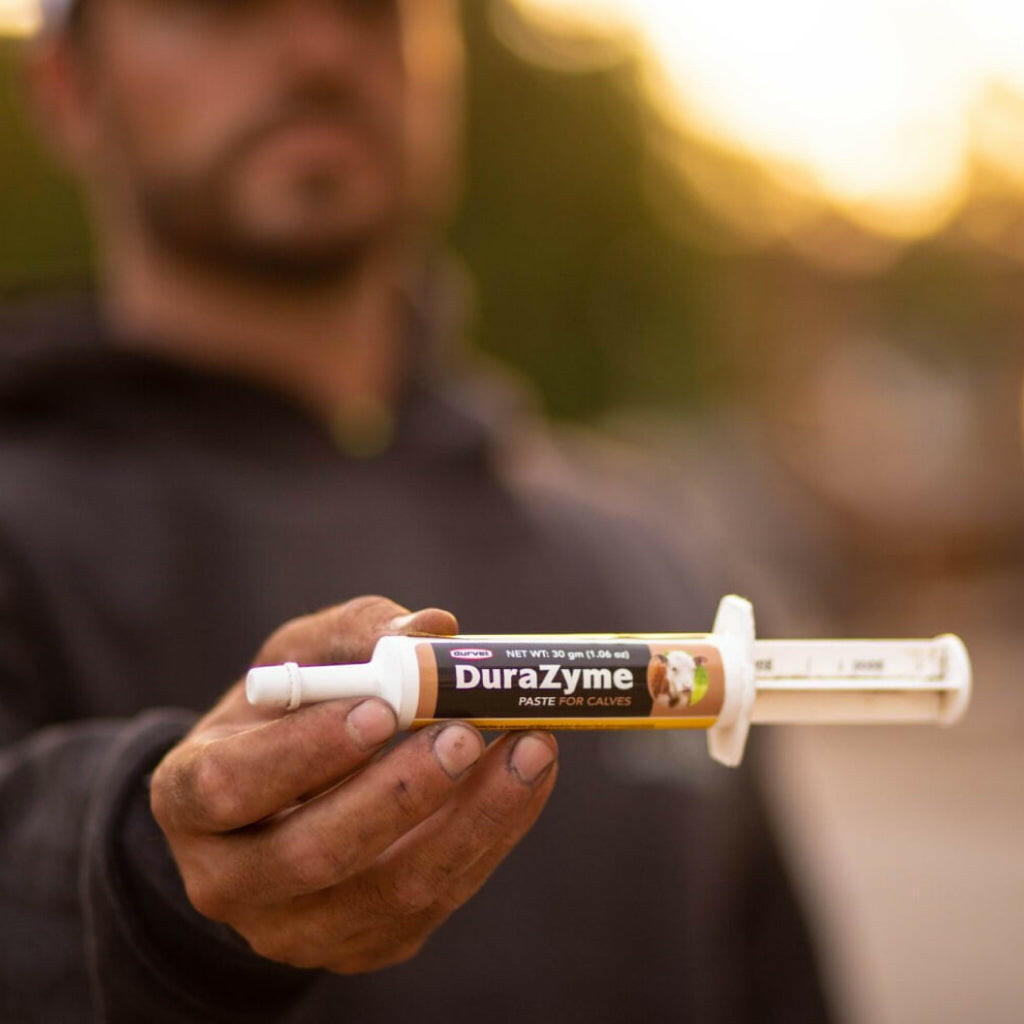 Durvet DuraZyme Paste for Calves (30 g)