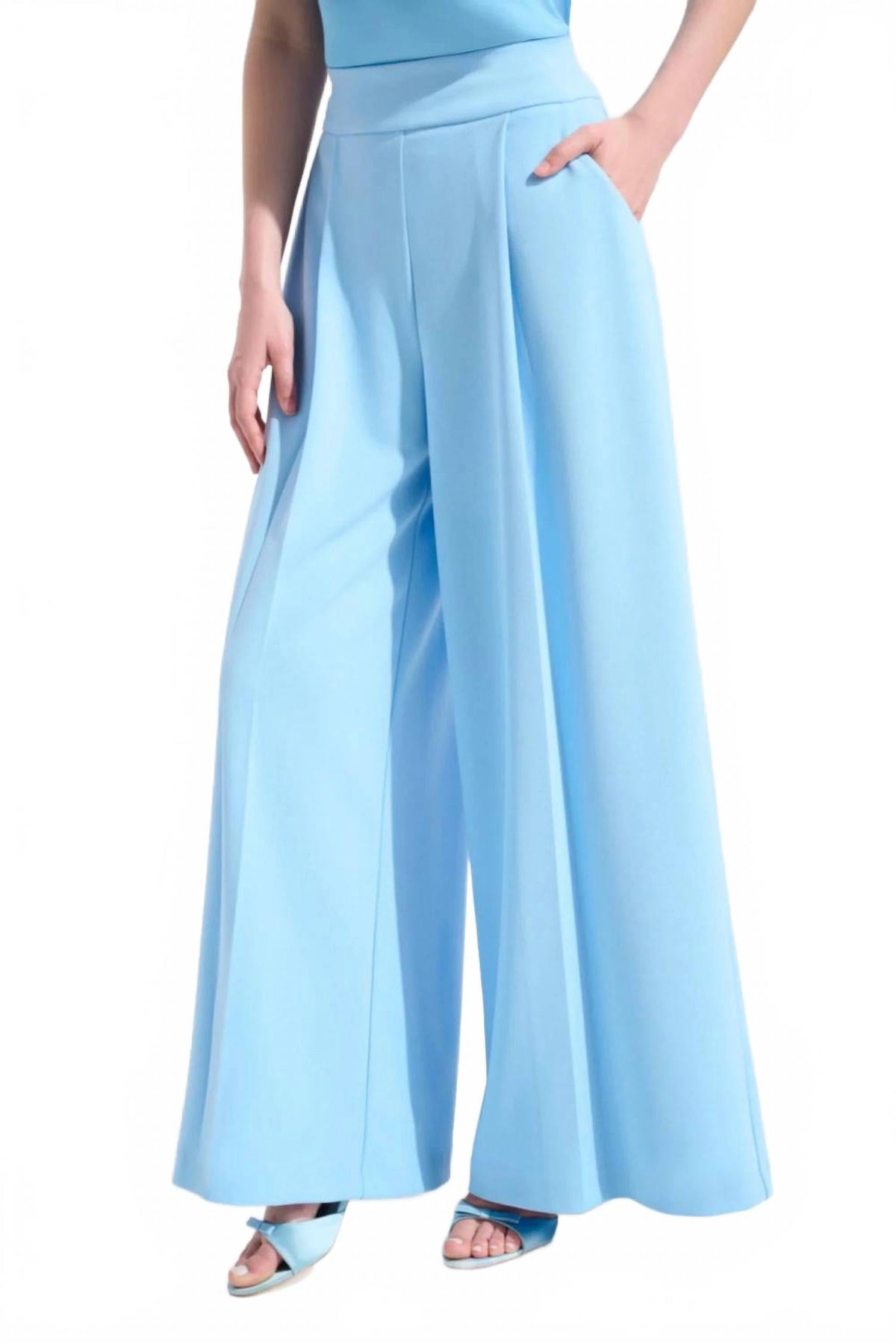 High Waist Pleated Wide Leg Pants In Sky Blue