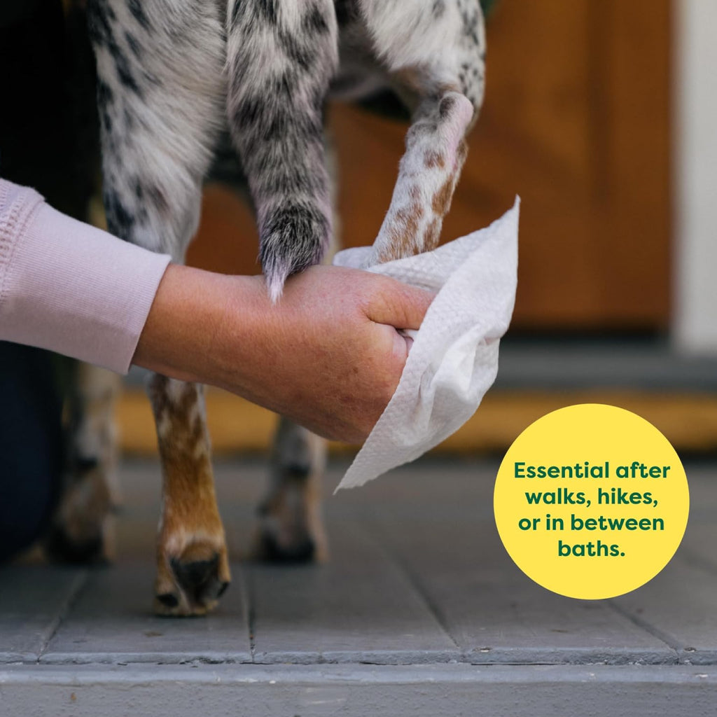 Earth Rated Hypoallergenic Dog Grooming Wipes, Lavender Scented (100 count)
