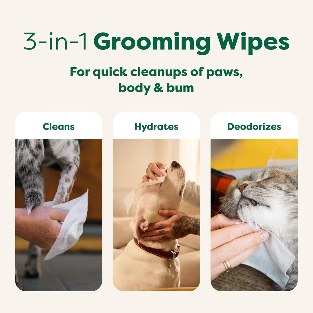 Earth Rated Hypoallergenic Dog Grooming Wipes, White Tea & Basil Scented (100 count)