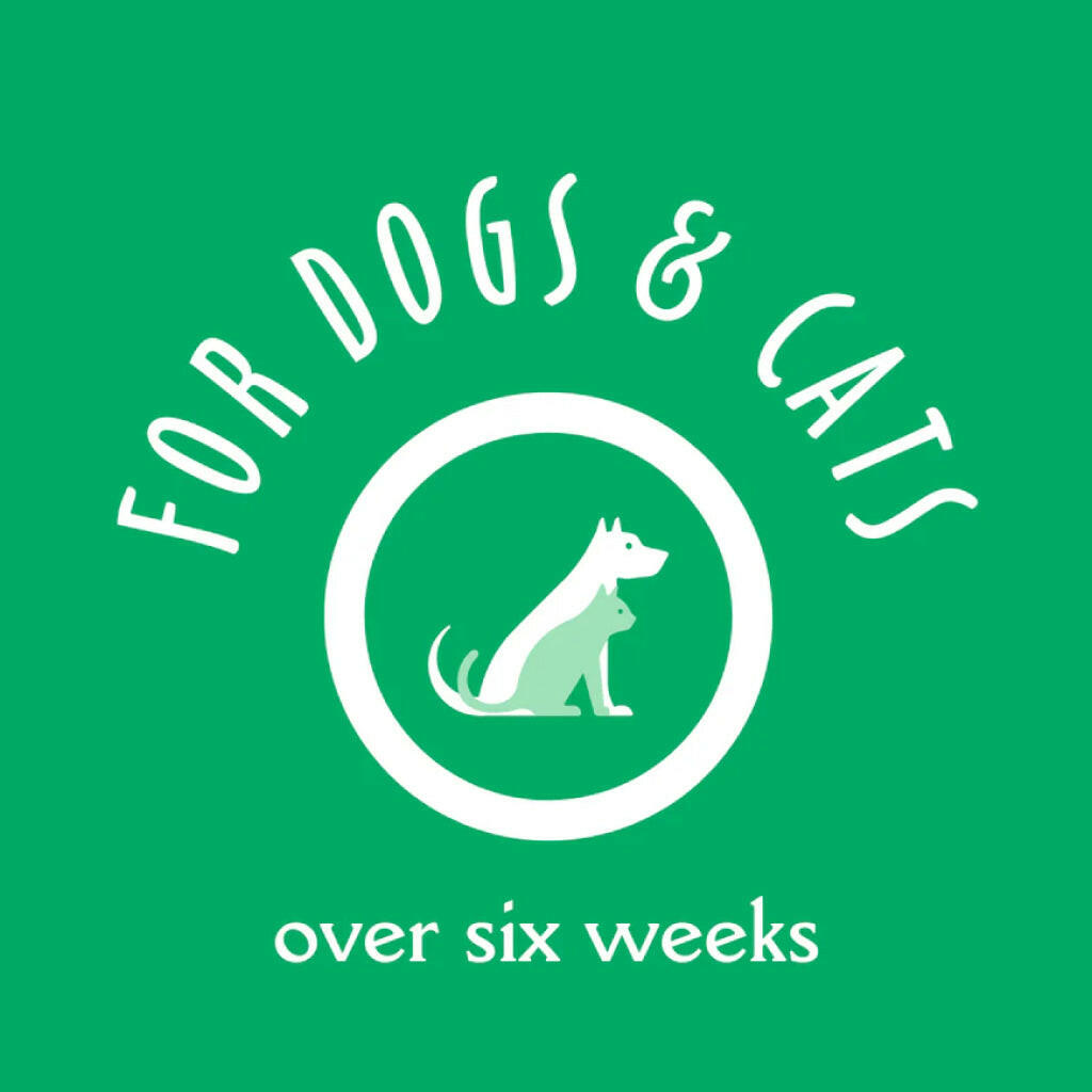 Earthbath Hypo-Allergenic Shampoo for Dogs & Cats
