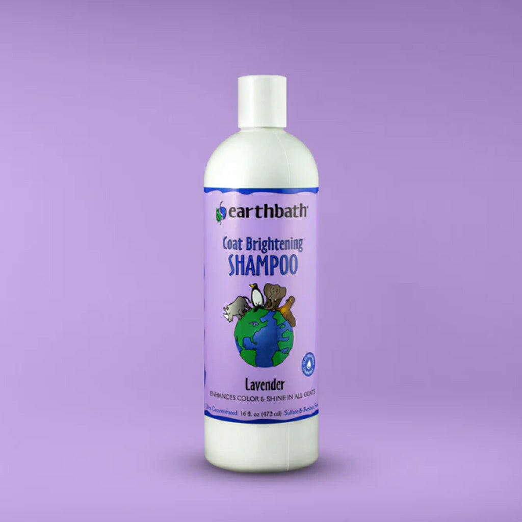 Earthbath Light Color Coat Brightening Lavender Shampoo for Dogs & Cats (16 oz)