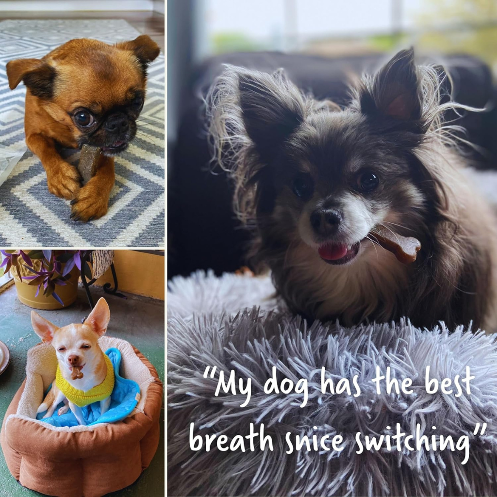 Earthly Pet Earthbones Dental Chews for Dogs