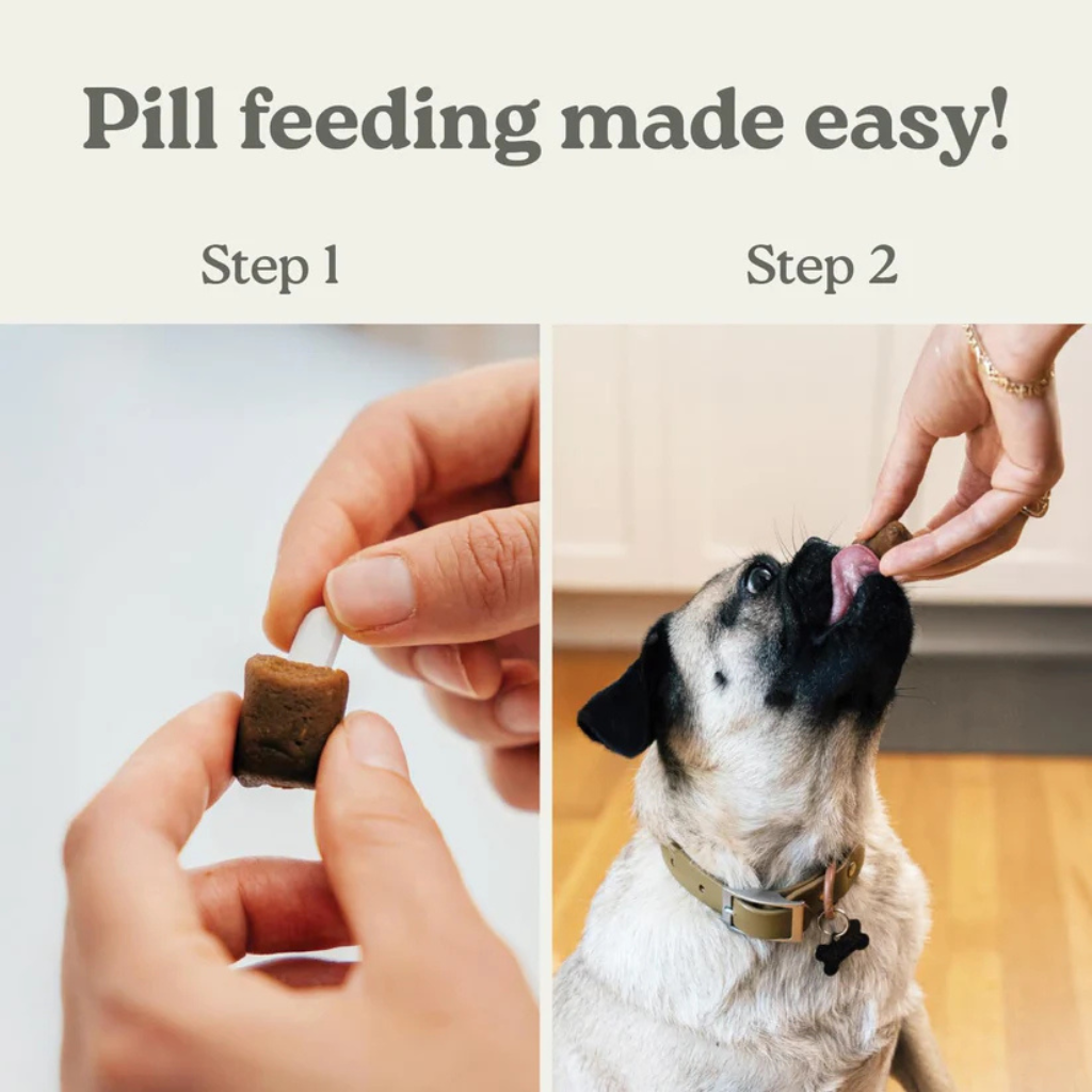 Earthly Pet Pill Buddy Naturals Pill Hiding Treats for Dogs