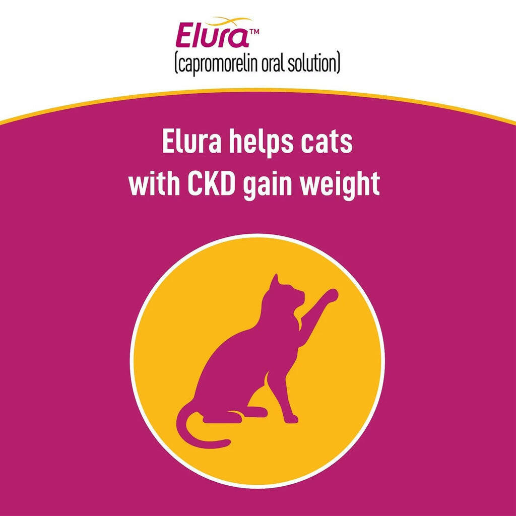 Elura for Cats 20mg/mL (15 mL)