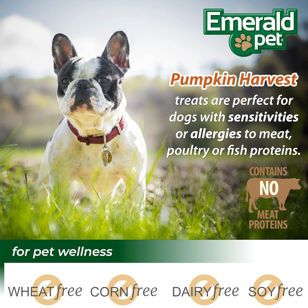 Emerald Pet Pumpkin Harvest Mini Trainers Pumpkin Recipe with Banana Dog Treats, 6-oz