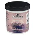 Equiderma Zinc Oxide Paste For Horses (16 oz)