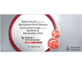 Equine Imrab + Potomavac Vaccine