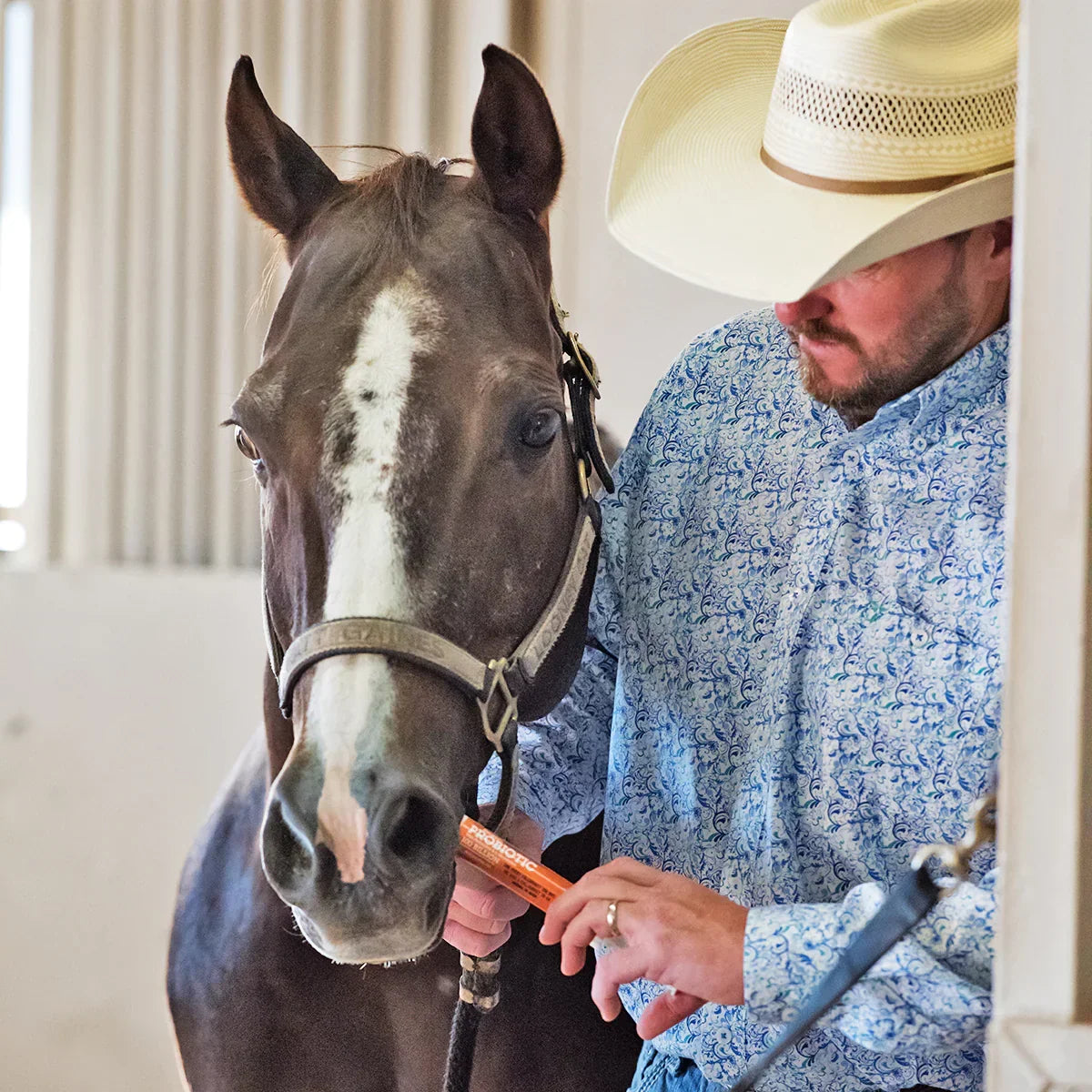 Equine Probiotic Paste (24 tubes)