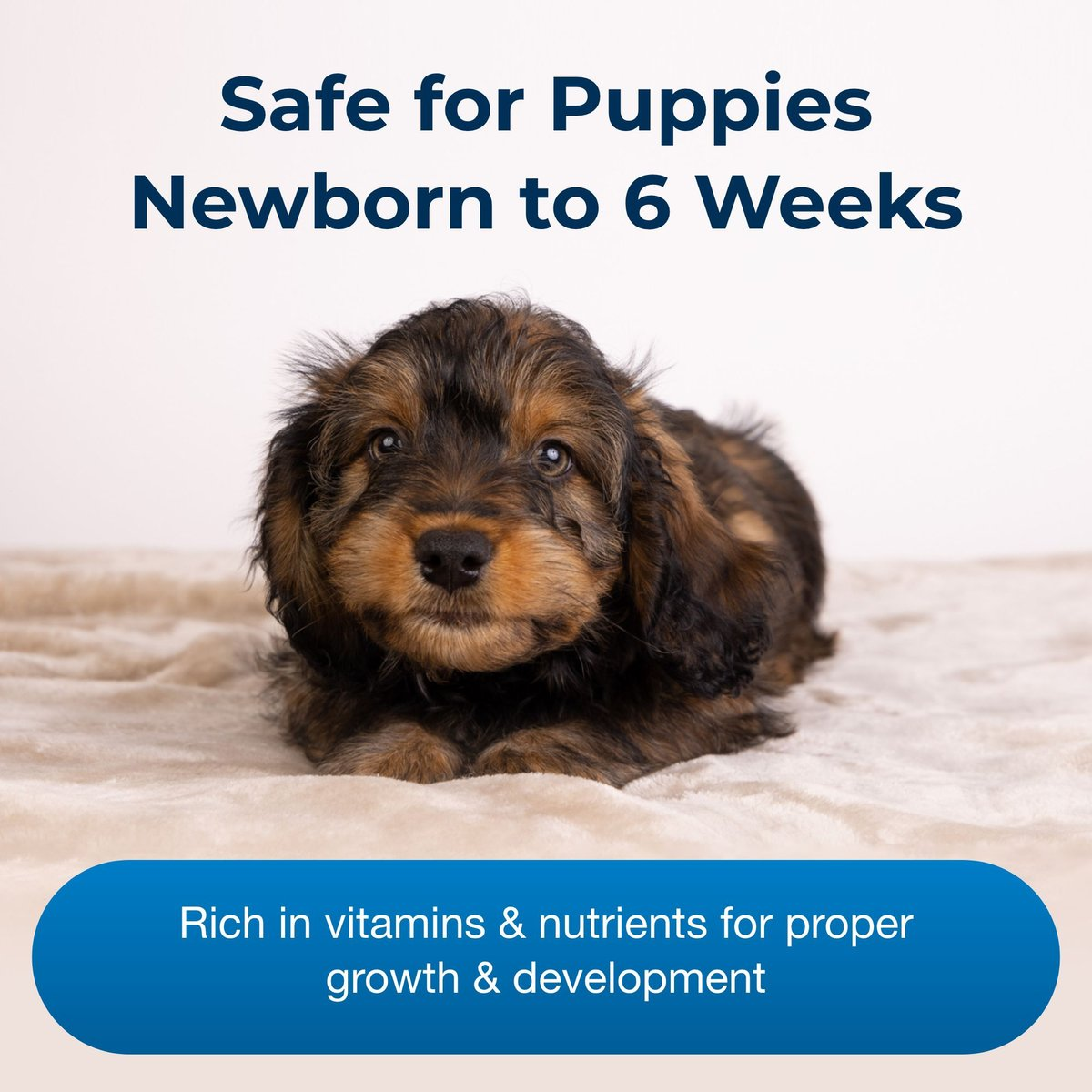 Esbilac Puppy Milk Replacer Powder
