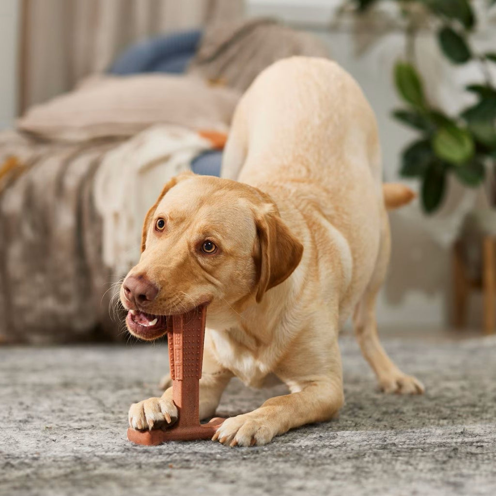Ethical Bambone Plus Beef Toy For Dogs