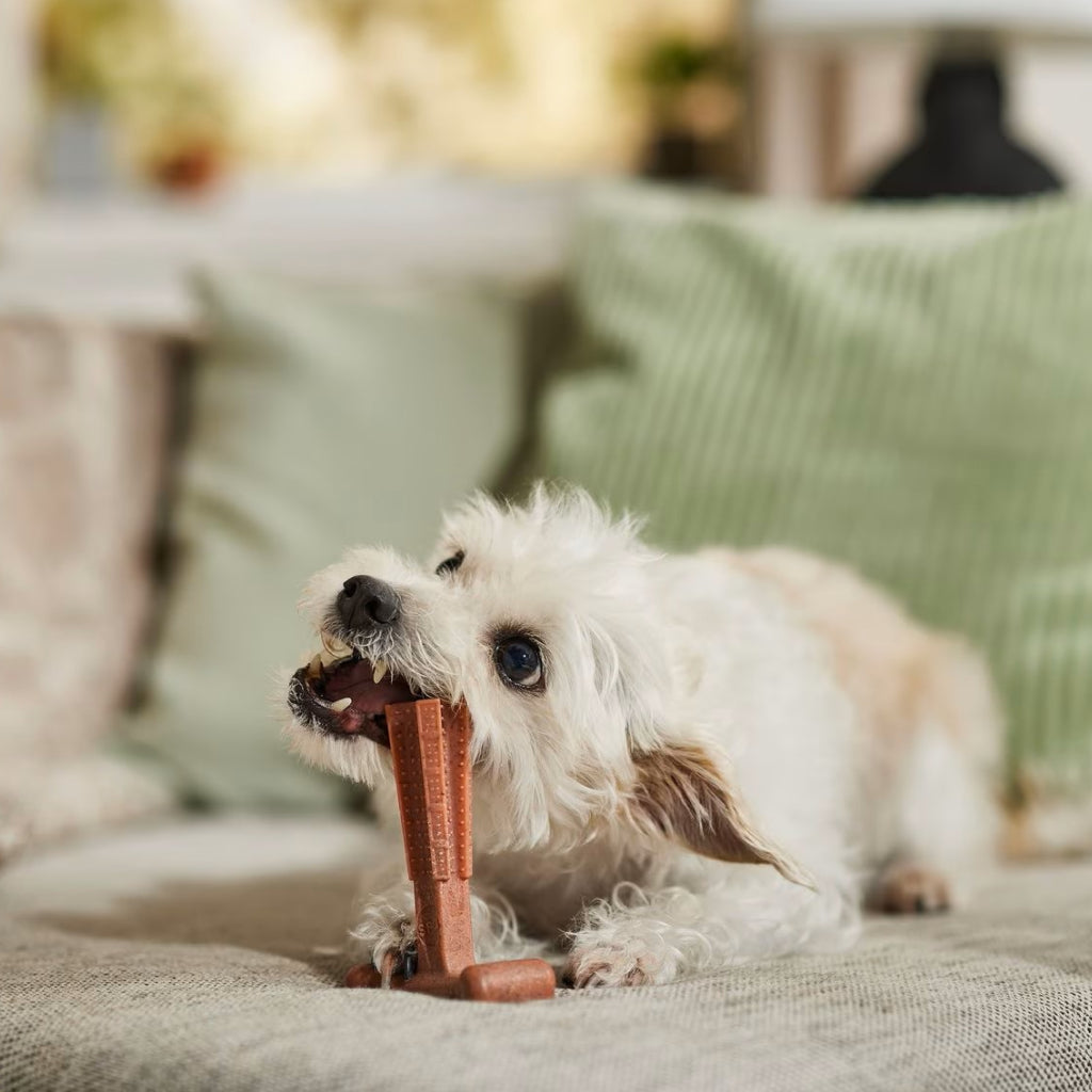 Ethical Bambone Plus Beef Toy For Dogs