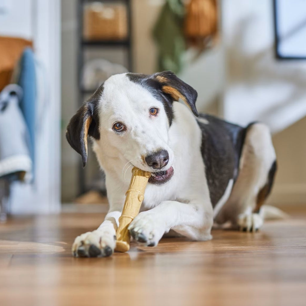 Ethical Bambone Plus Stick Chicken Toy For Dogs (9.5")