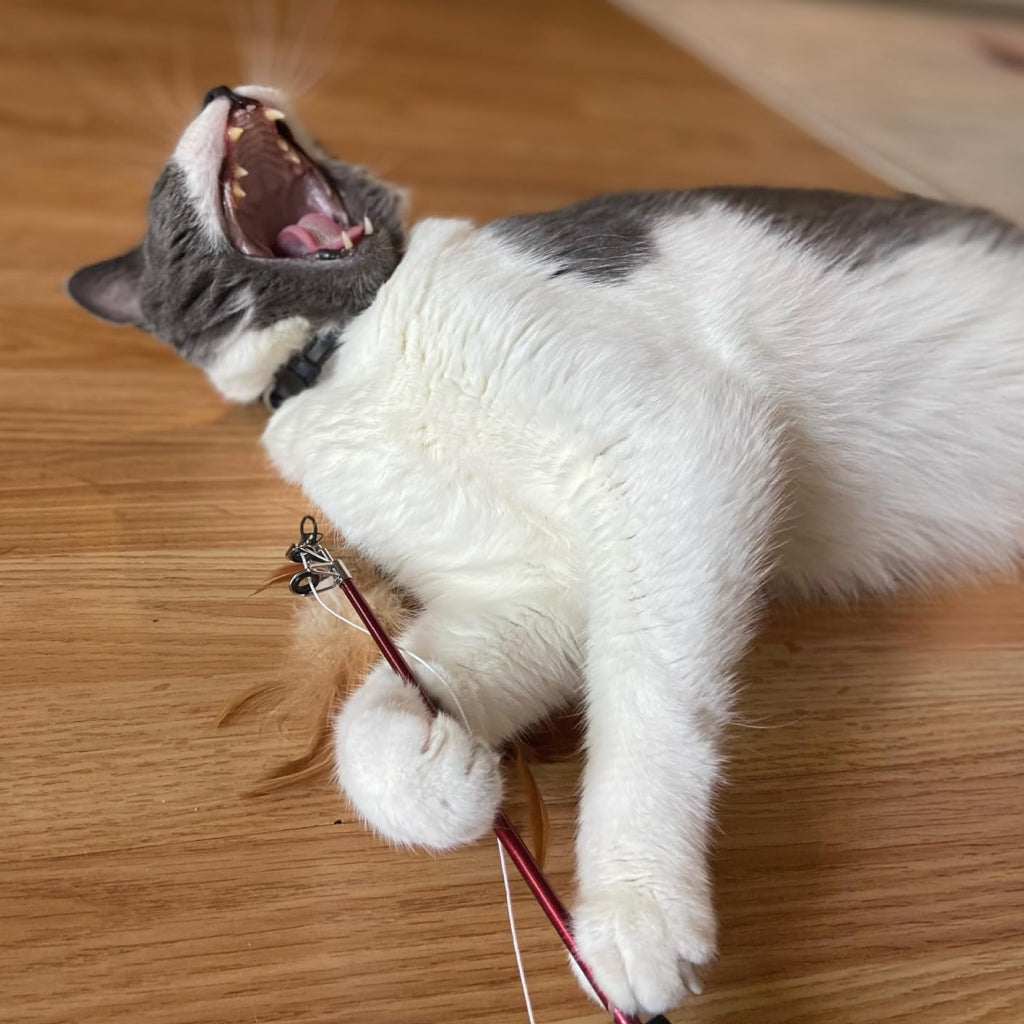 Ethical Fishing Rod N Reel Kitty Teaser Toy For Cats