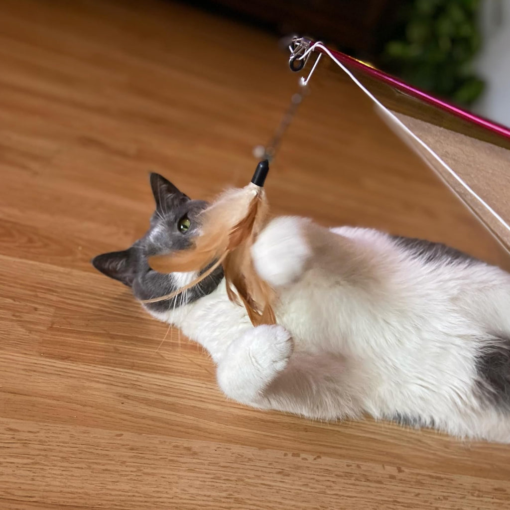 Ethical Fishing Rod N Reel Kitty Teaser Toy For Cats