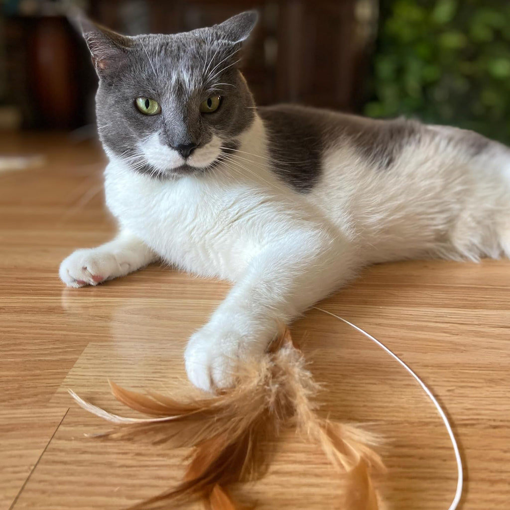 Ethical Fishing Rod N Reel Kitty Teaser Toy For Cats