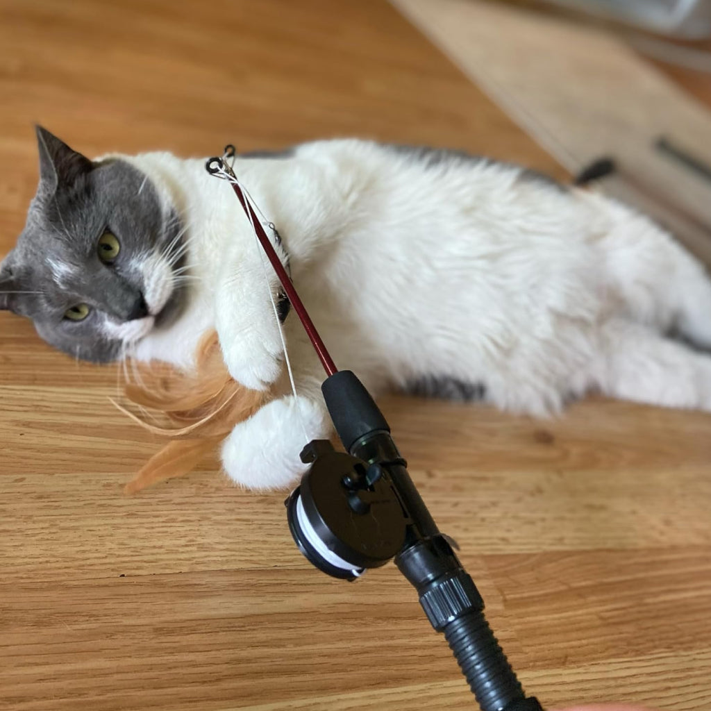Ethical Fishing Rod N Reel Kitty Teaser Toy For Cats