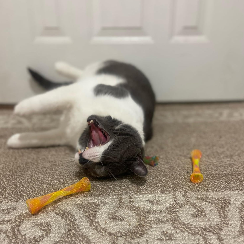 Ethical Kitty Fun Tubes Toy For Cats