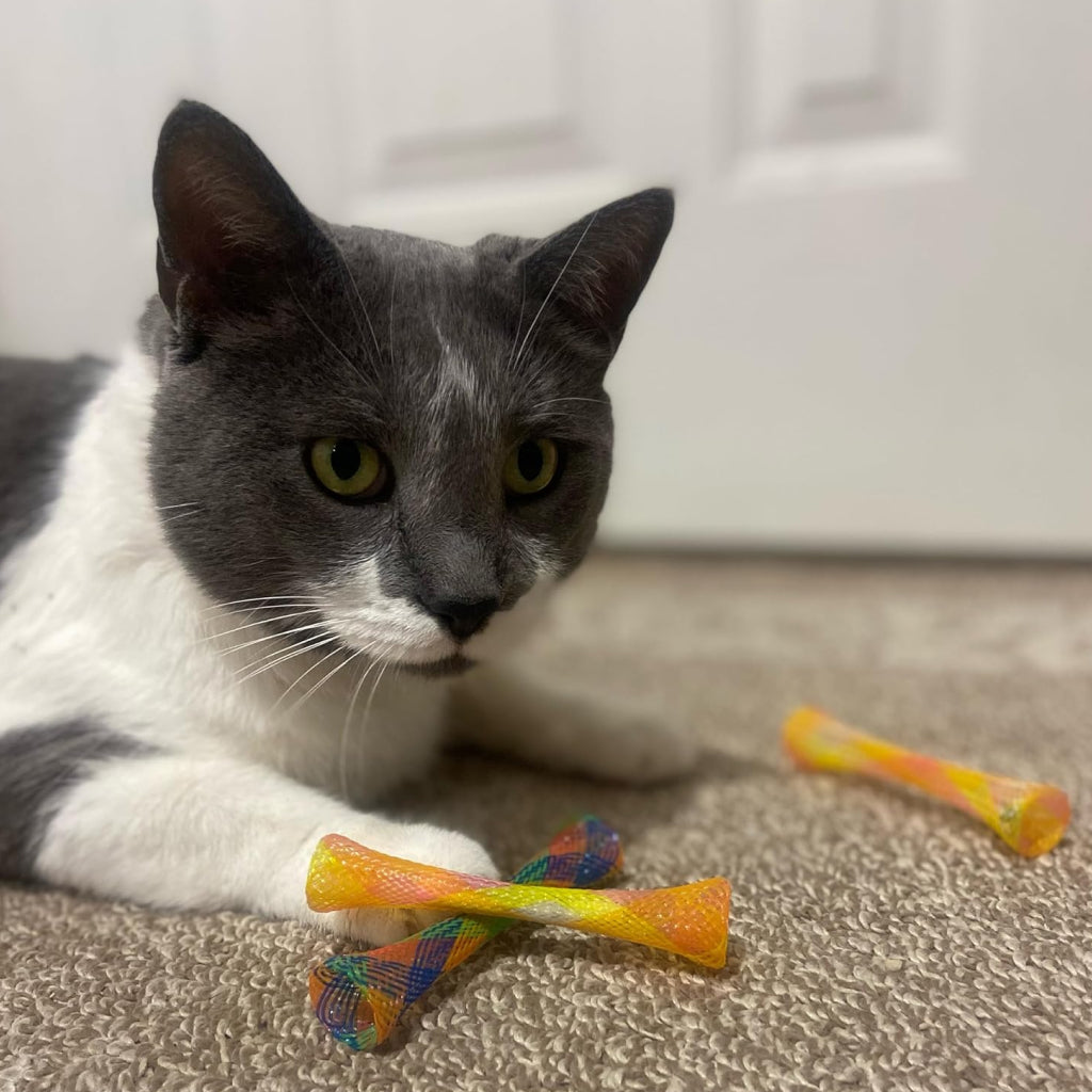Ethical Kitty Fun Tubes Toy For Cats