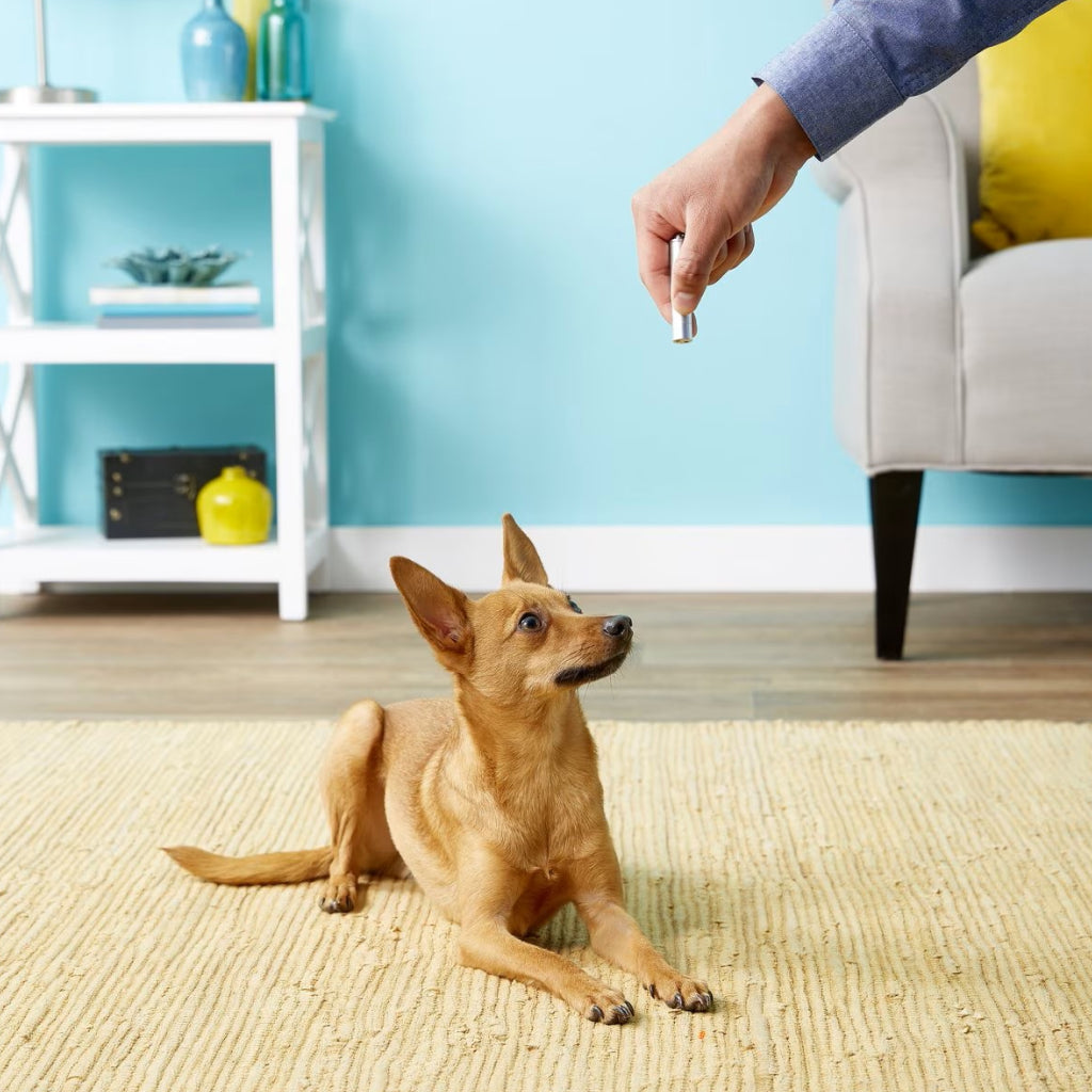 Ethical Laser Toy For Dogs & Cats