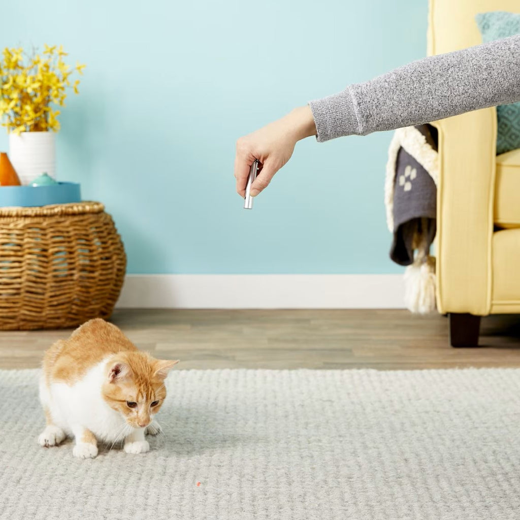 Ethical Laser Toy For Dogs & Cats