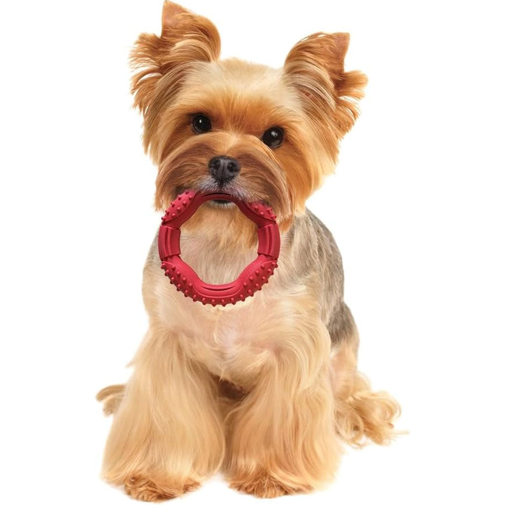 Ethical Pet Spot Barrett Tough Ring Dog Toy 5"