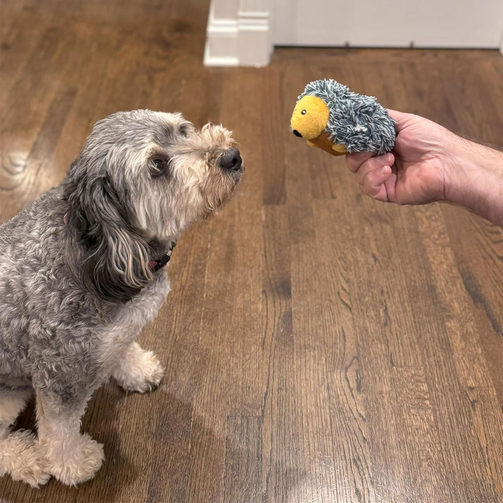Ethical Pet Spot Butterballs Forest Dog Toy, 4-Inch, Assorted