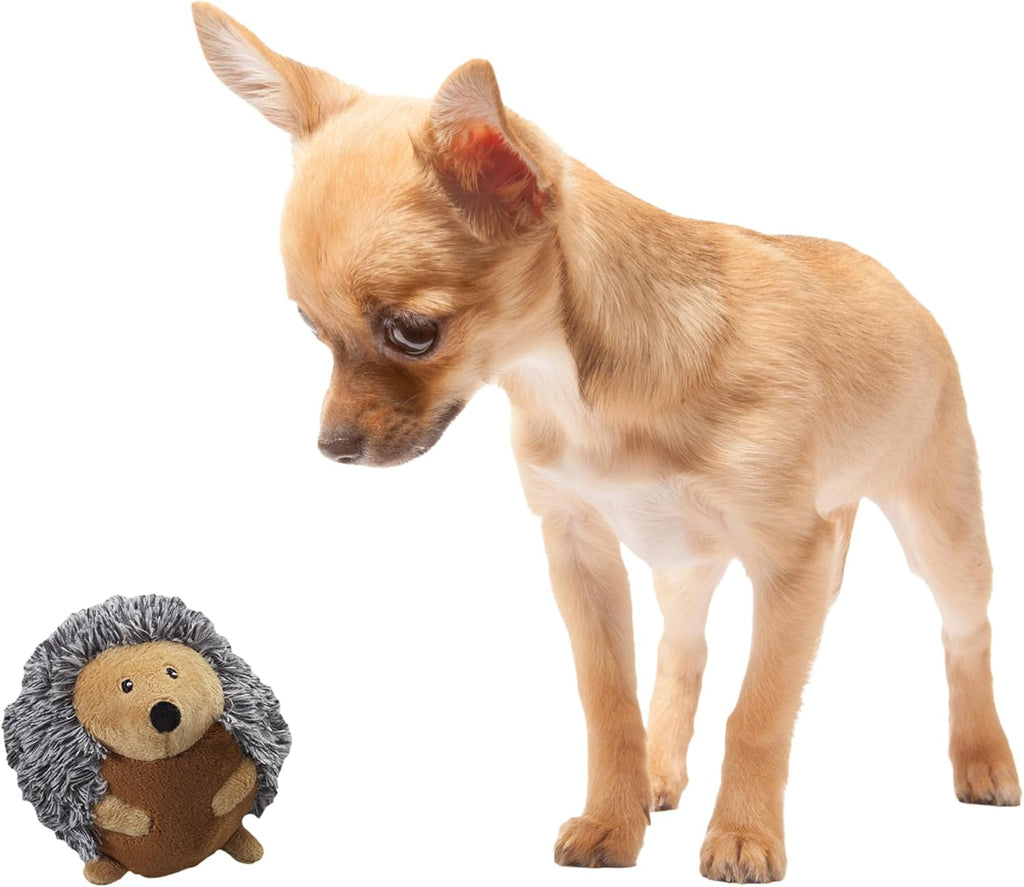 Ethical Pet Spot Butterballs Forest Dog Toy, 4-Inch, Assorted