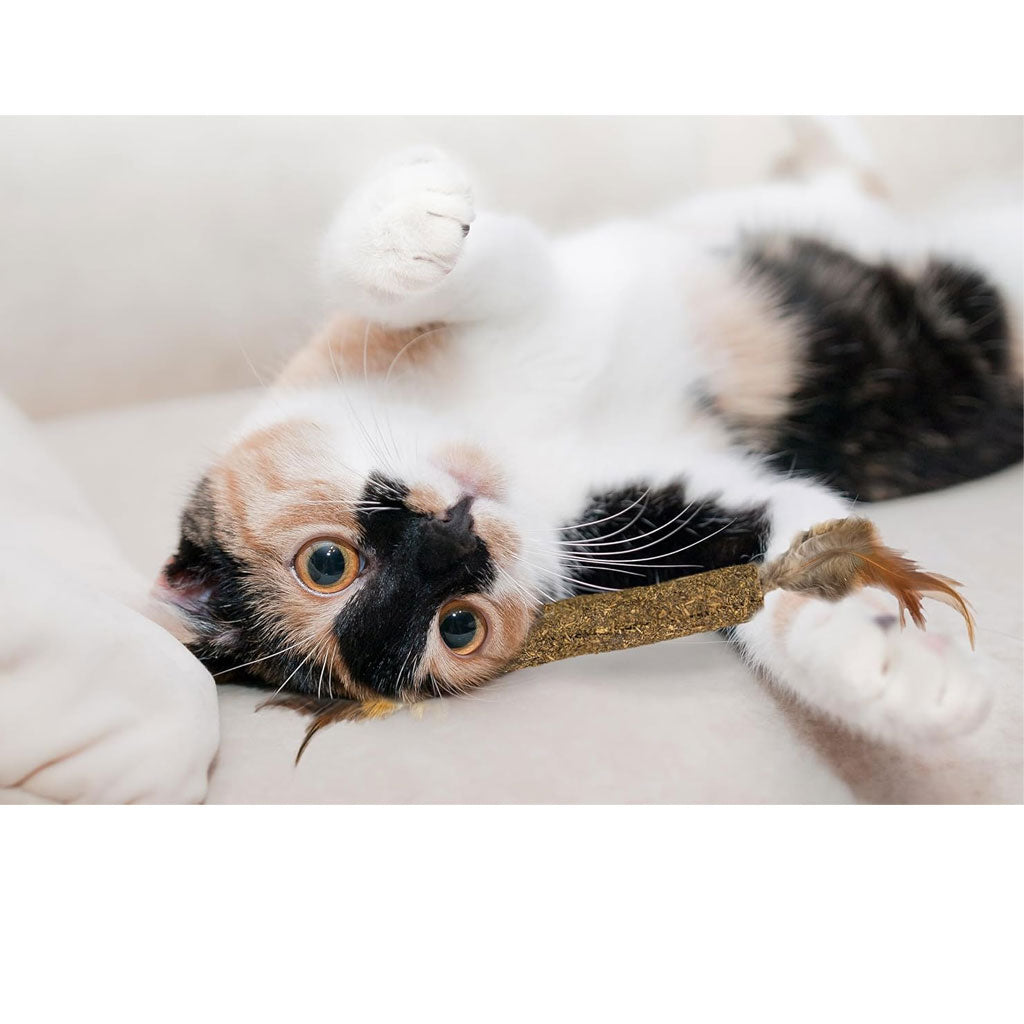 Ethical Pet Spot Catnip Stick Compressed Catnip Toy, 12"