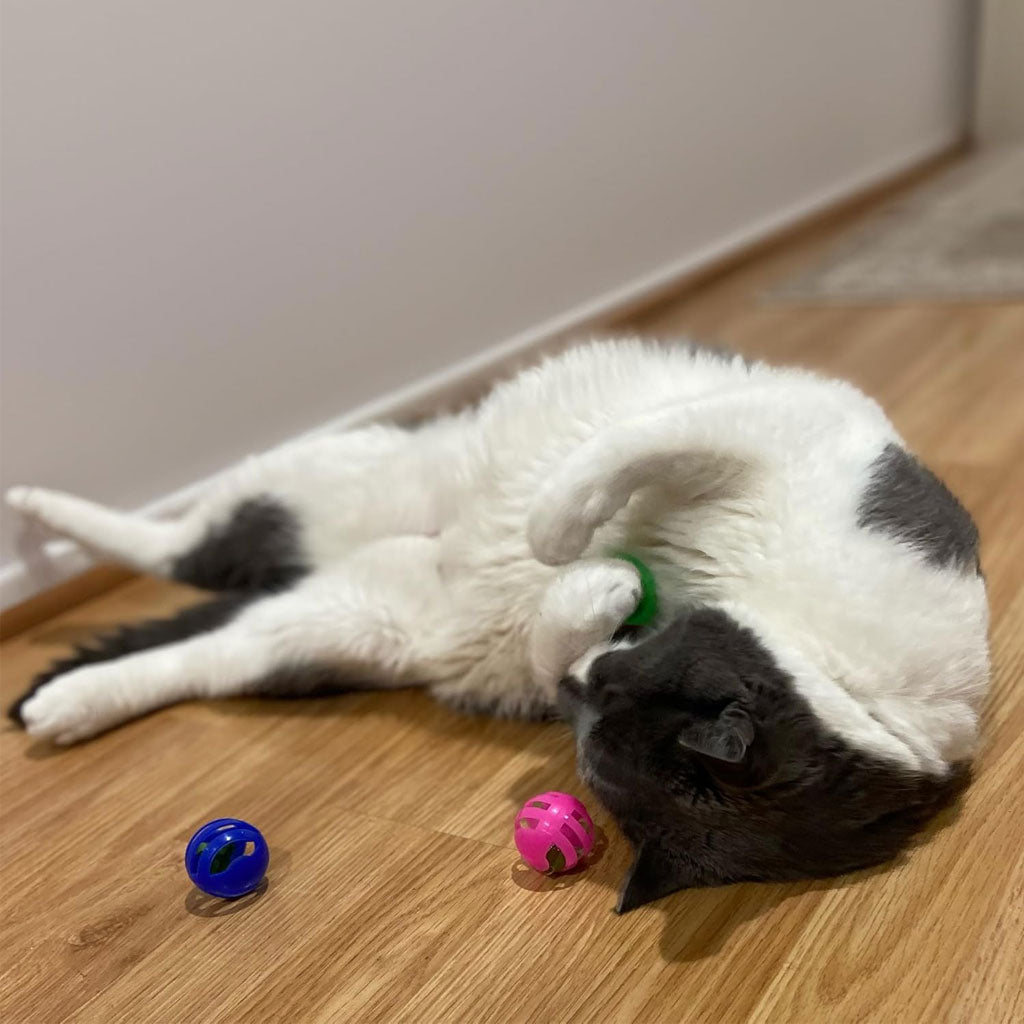 Ethical Pet Spot Slotted Balls Cat Toy Multi-Color, 4-count