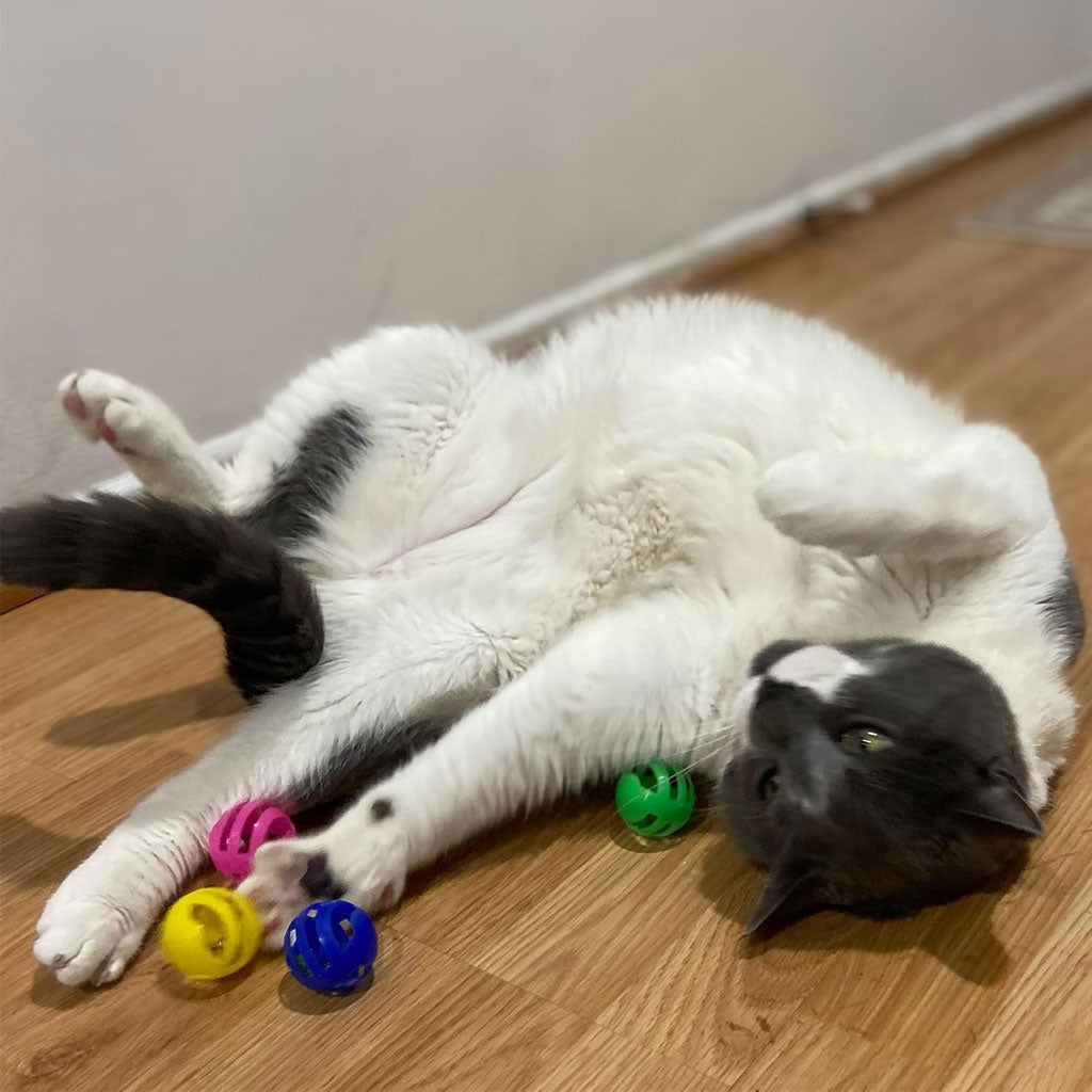 Ethical Pet Spot Slotted Balls Cat Toy Multi-Color, 4-count