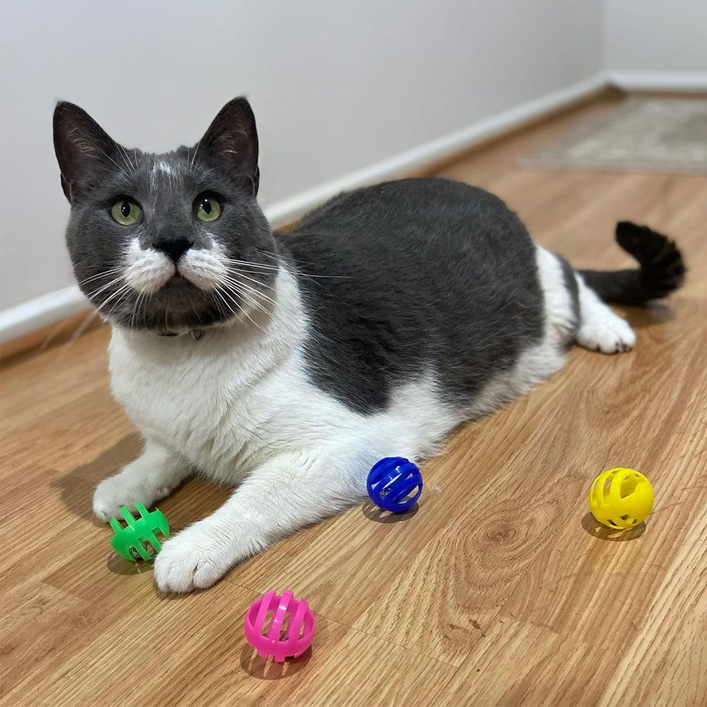 Ethical Pet Spot Slotted Balls Cat Toy Multi-Color, 4-count