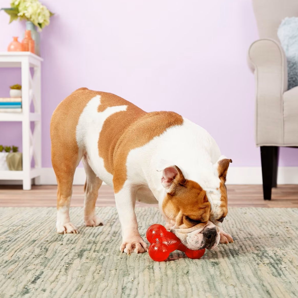 Ethical Play Strong Bone Toy For Dog