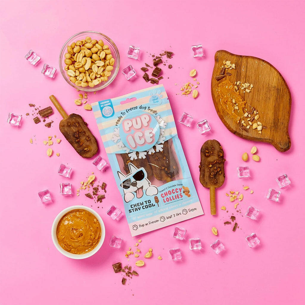 Ethical Pup Ice Choccy Lollies Peanut Butter & Chocolate Ready to Freeze Dog Treats, 2 pack