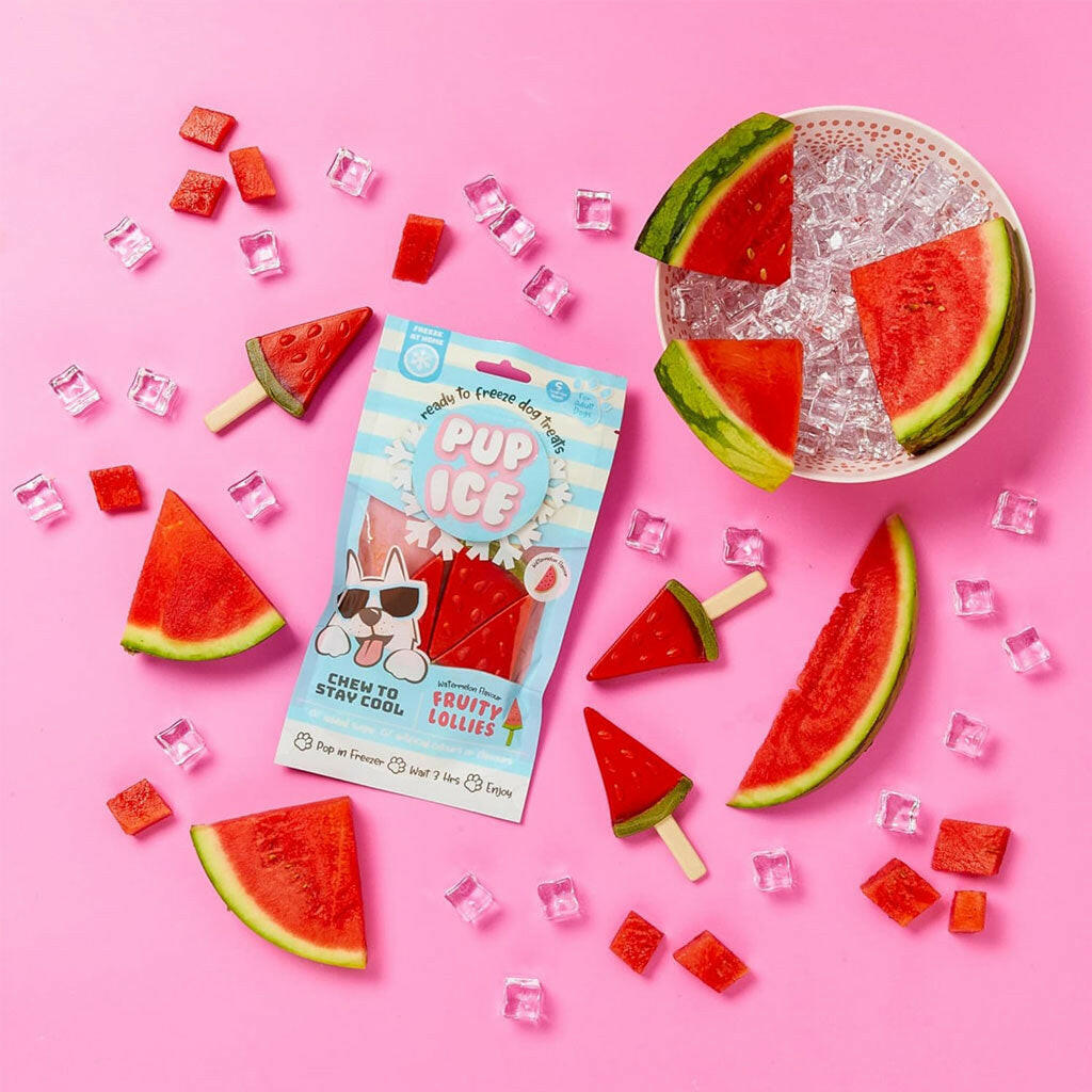 Ethical Pup Ice Fruity Lollies Ready to Freeze Dog Treats, 3-pack