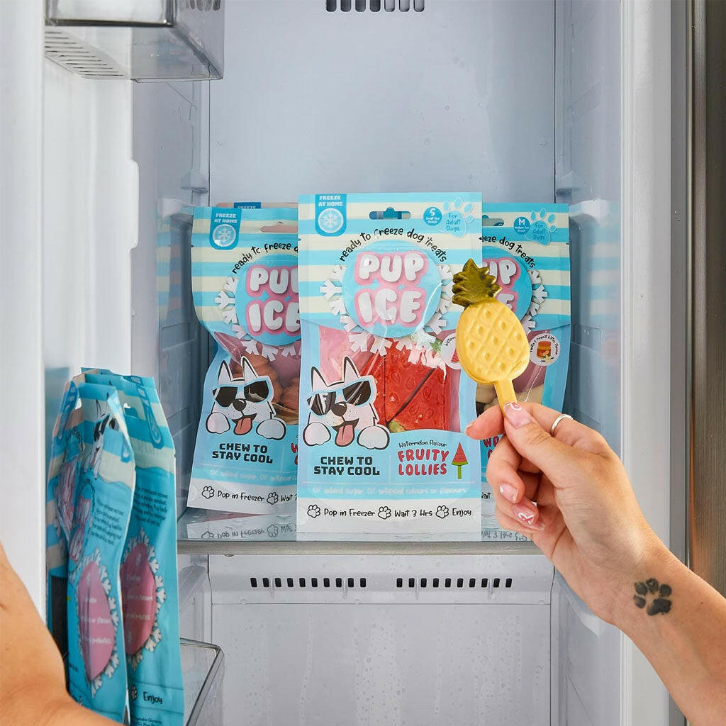 Ethical Pup Ice Fruity Lollies Ready to Freeze Dog Treats, 3-pack