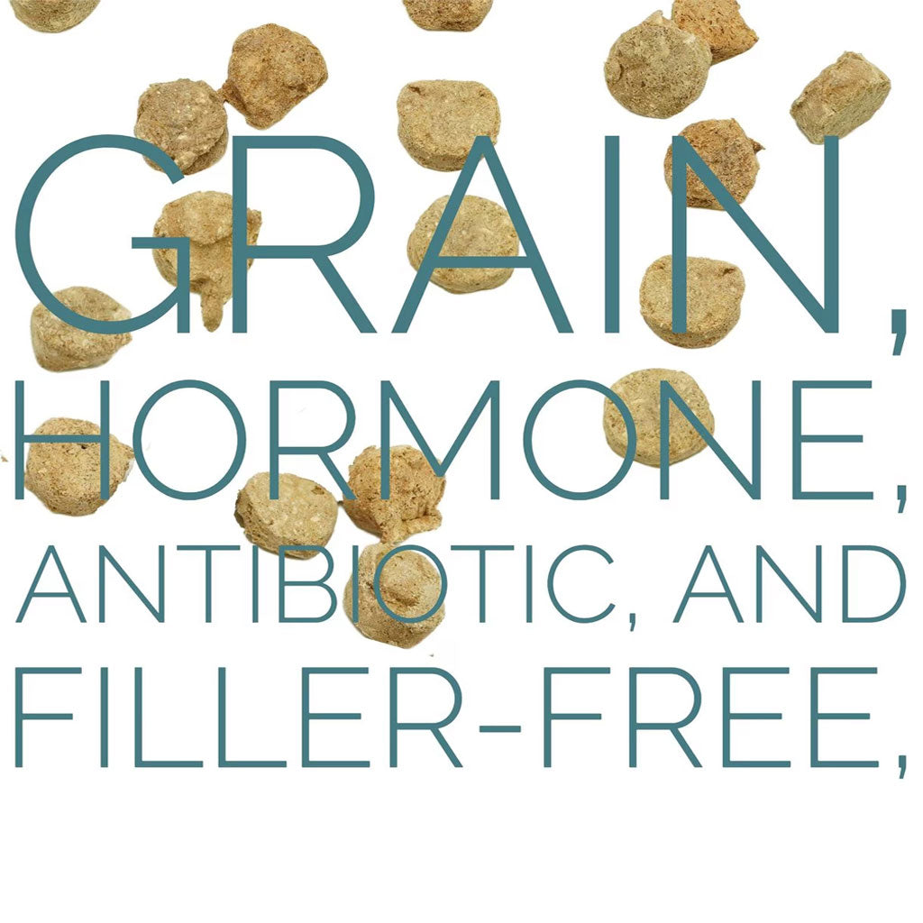 Etta Says! Eat Simple 100% Freeze Dried Turkey Dog Treats, 2.5-oz