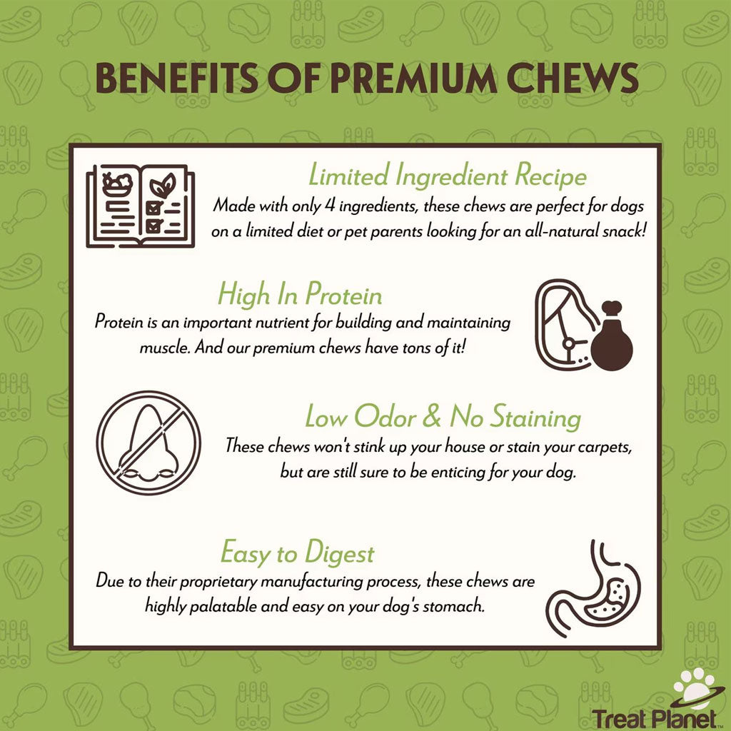 Etta Says! Premium Crunchy Chew Bars Pork + Apple Dog Treats, 12 count