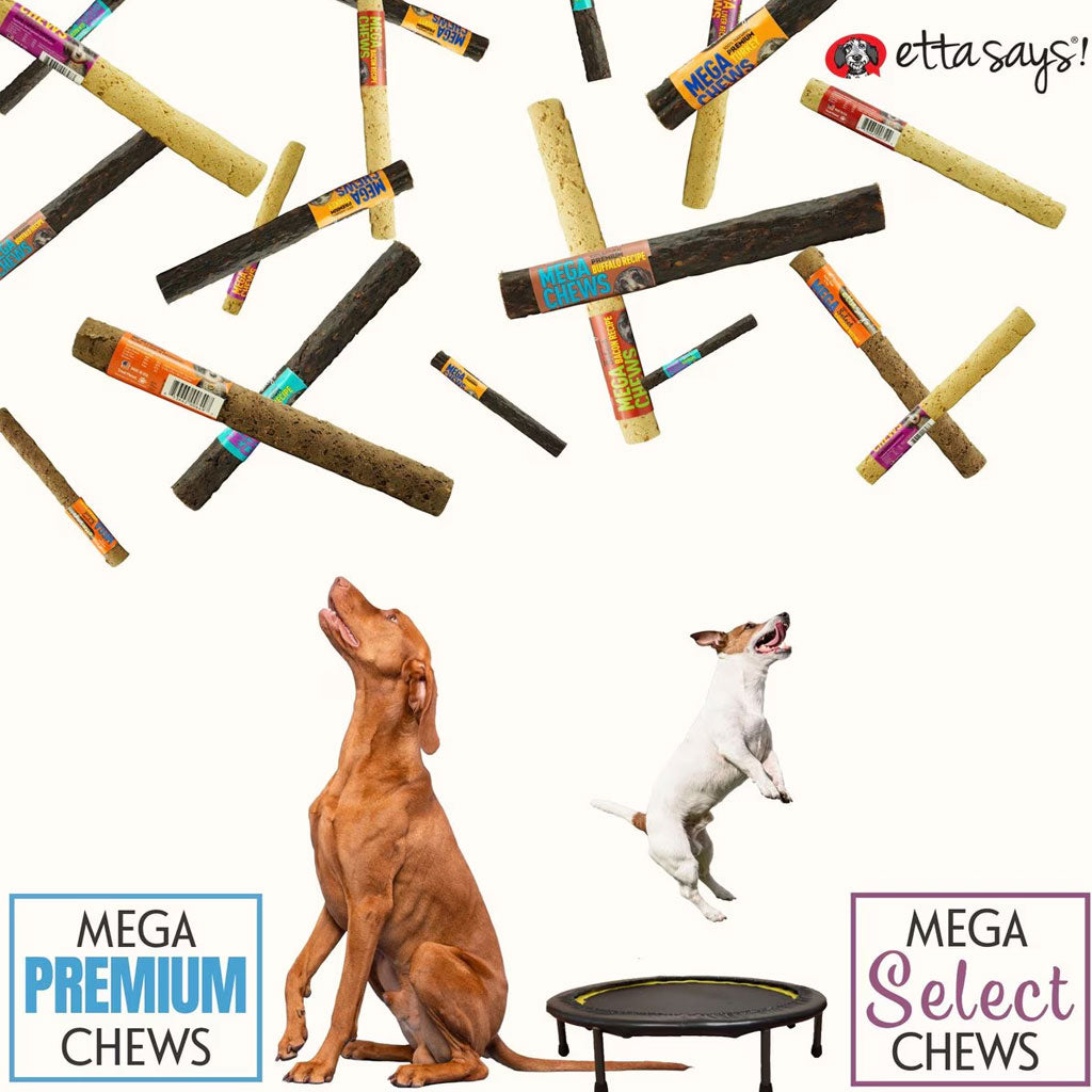 Etta Says! Premium Crunchy MEGA Elk Chews Dog Treats, 10", 1 count