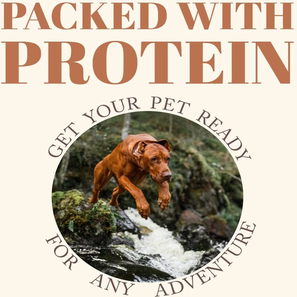 Etta Says! Premium Crunchy Rabbit Dog Chew Treats, 7"