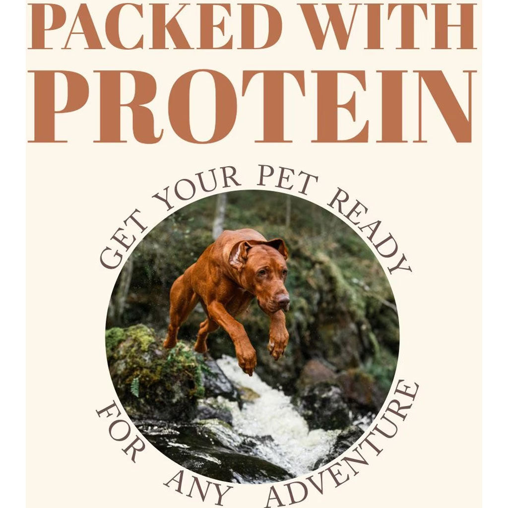 Etta Says! Premium Crunchy Turkey Dog Chew Treats, 7"