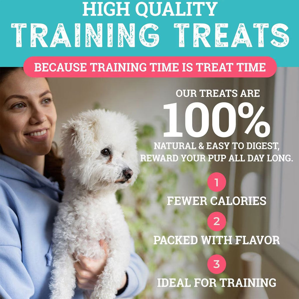 Etta Says! Sit! Training Treats for Dogs Bacon Flavor, 6-oz