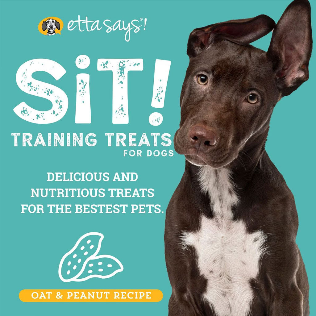 Etta Says! Sit! Training Treats for Dogs Peanut Butter Flavor, 6-oz