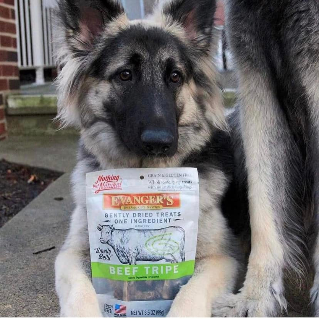 Evanger's Freeze-Dried Beef Tripe Dog & Cat Treats (4.6 oz)