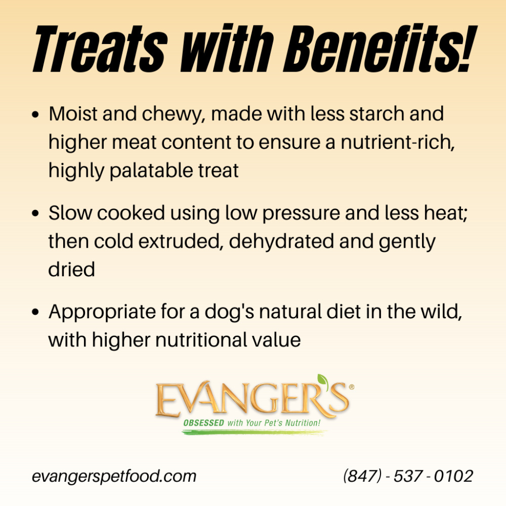 Evanger's Grain-Free Oven Baked Qauil Recipe Jerky Treats for Dogs (4.5 oz)